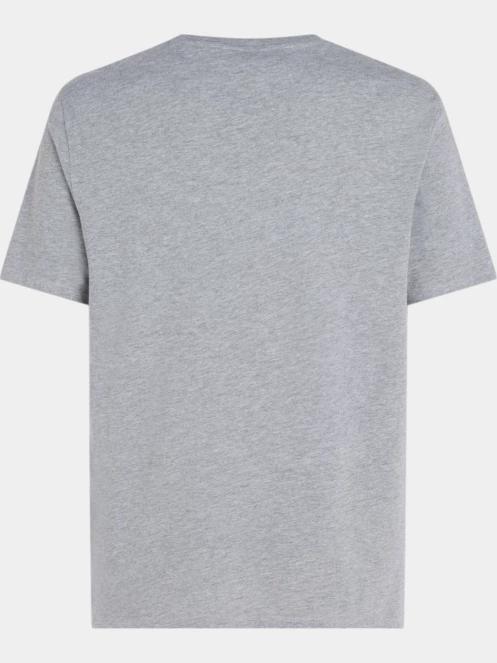 O'Neill O'Neill Logo T-Shirt férfi rövid ujjú póló szürke színben 3