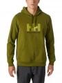 Helly Hansen Hh Logo Hoodie férfi kapucnis pulóver oliva színben 1